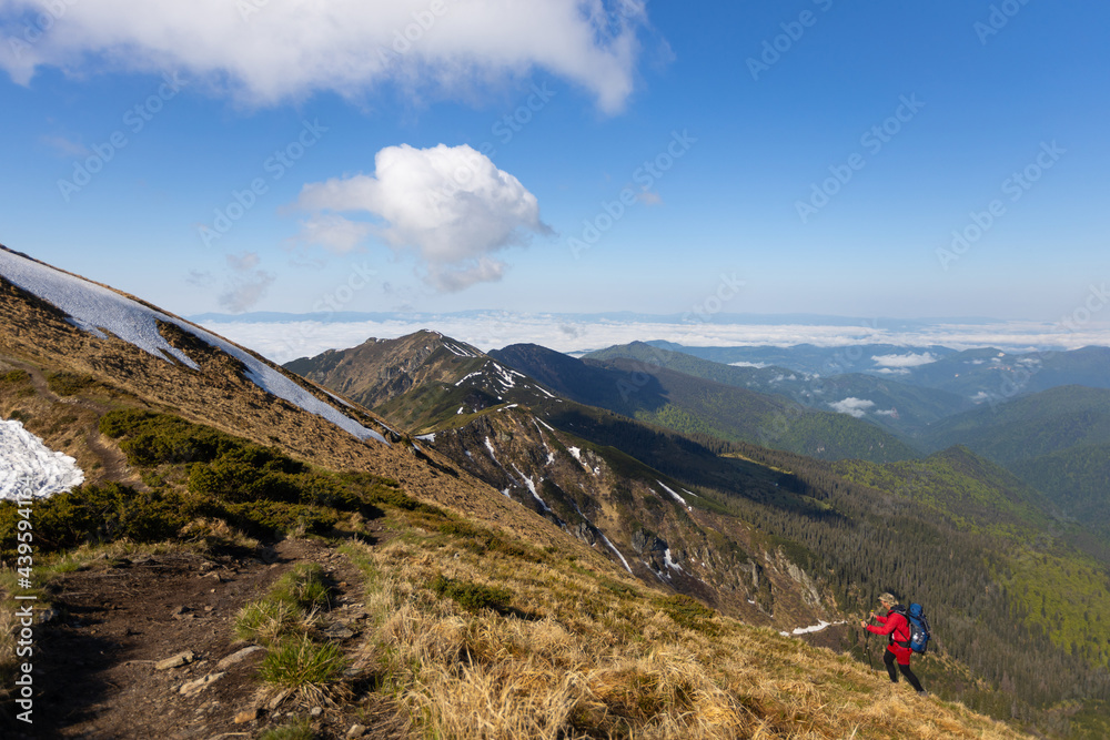 Hiker trekking to the highest ukrainian ridge Marmarosy near Romania. Mountain named Pip Ivan