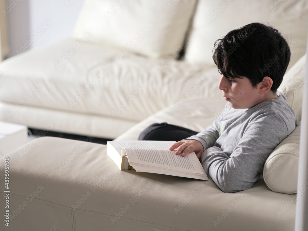 Kid Reading a book in living room, Intense reading. Kid Reading a book in living room, Intense reading.