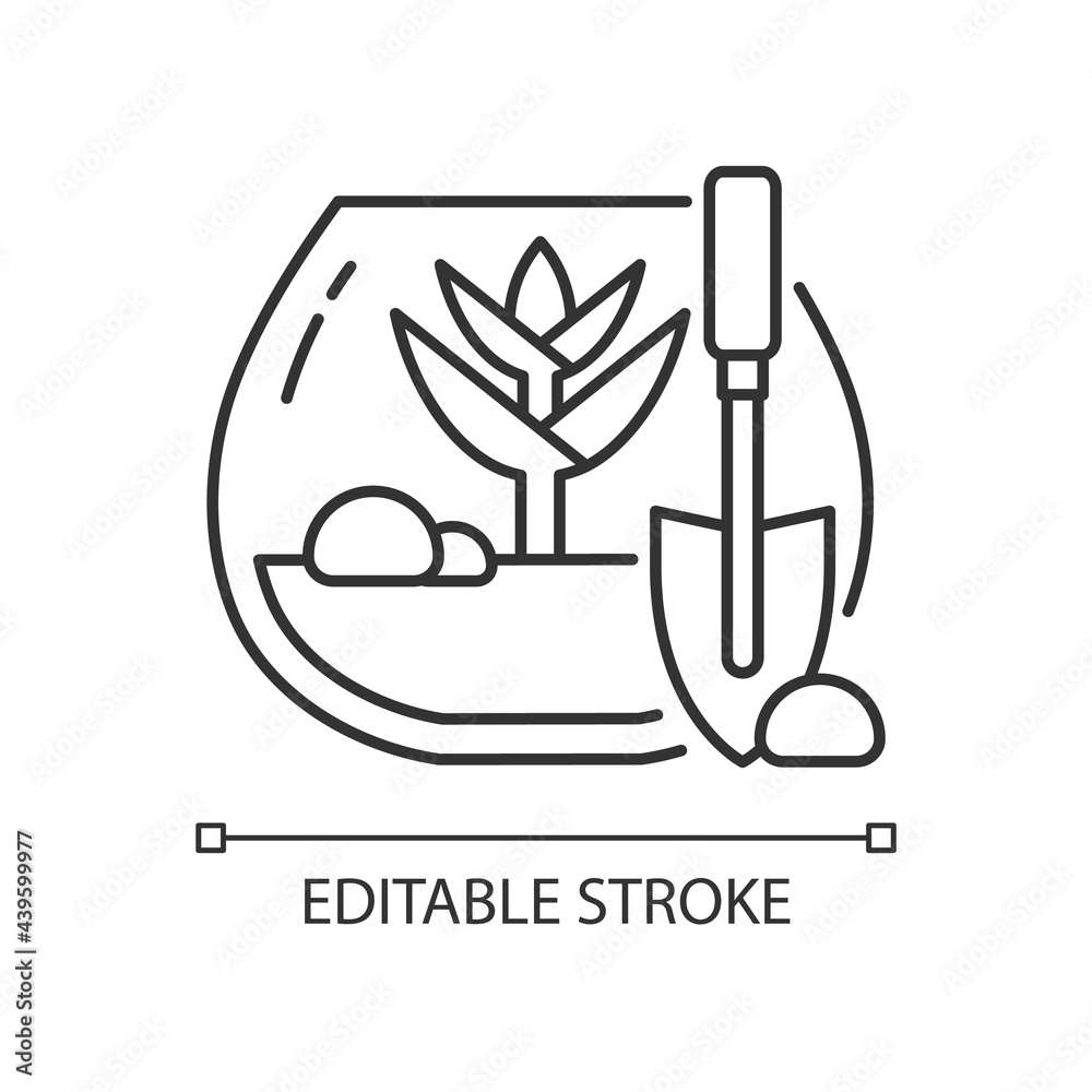 DIY tropical terrarium linear icon. Growing plants inside humid environment. Mosses under glass. Thin line customizable illustration. Contour symbol. Vector isolated outline drawing. Editable stroke
