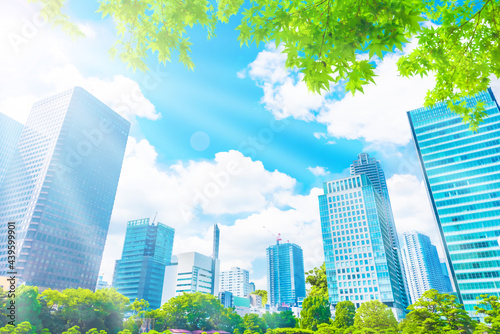 東京のオフィスビル群 Tokyo city skyline and fresh green ,Japan.