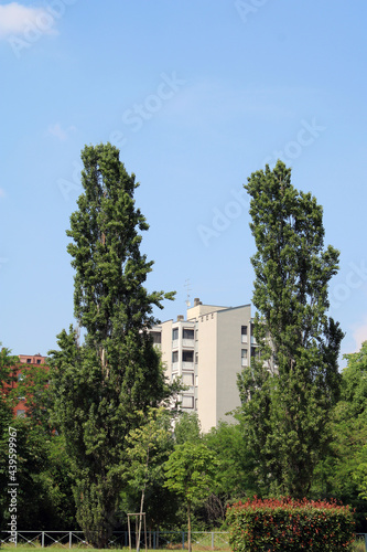 Veduta di palazzo fra due alberi pioppo con cielo