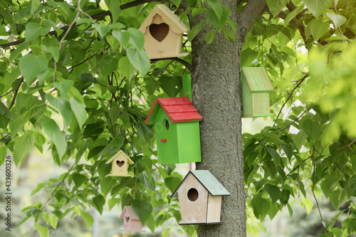 Different colorful bird houses on tree outdoors