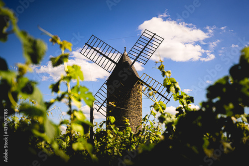 Moulin à vent au milieu des vignes