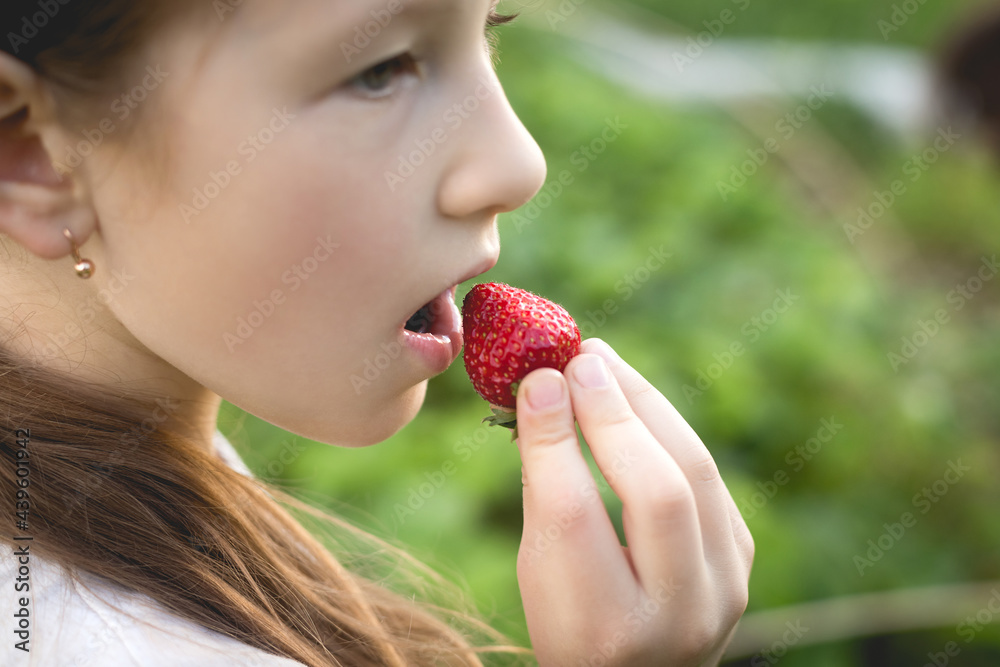 Little cute girl eating freshly picked strawberries in the garden. Little cute girl eating freshly picked strawberries in the garden.