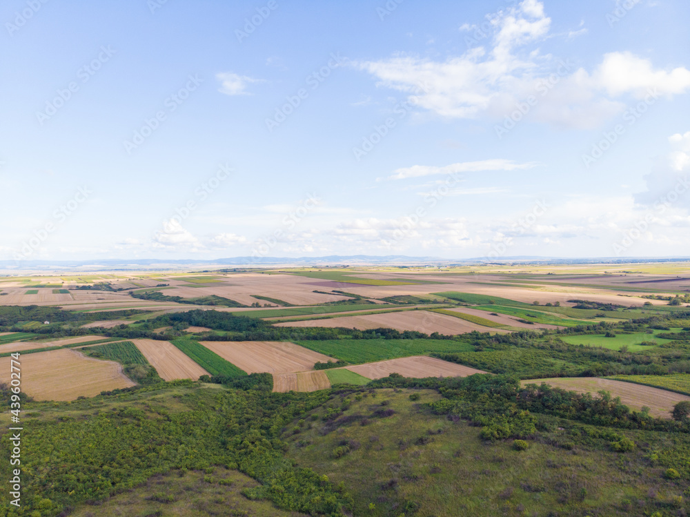 Obraz premium Fertile fields and blue sky in Serbia. Aerial photography.