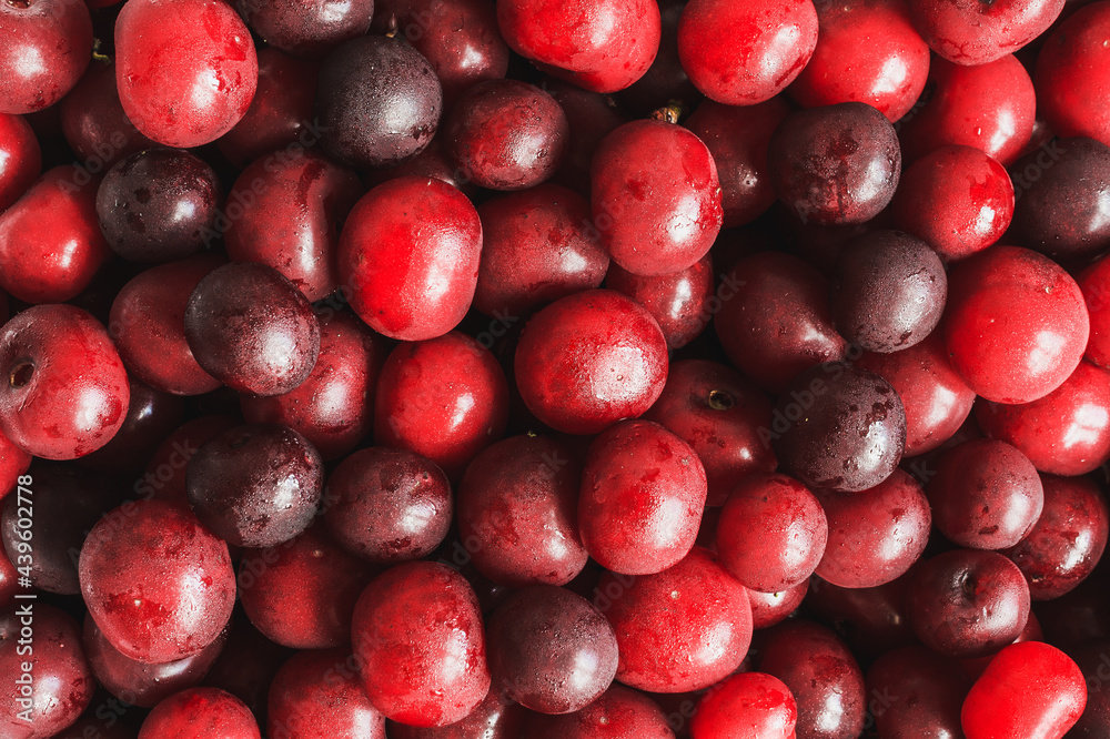 Fresh cherry view from above Fresh cherry view from above