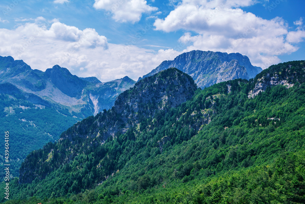 Summer landscape - Albanian mountains, covered with green trees and blue sky
