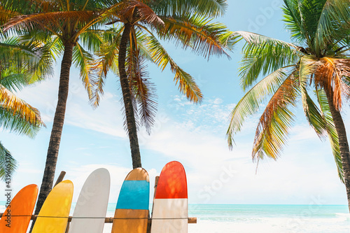Fototapeta Naklejka Na Ścianę i Meble -  Surfboard and palm tree on beach background.