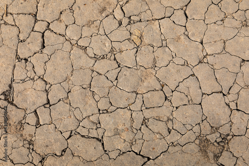 Abstract texture of cracking soil ground of drougt area in forest. Abstract texture of cracking soil ground of drougt area in forest.