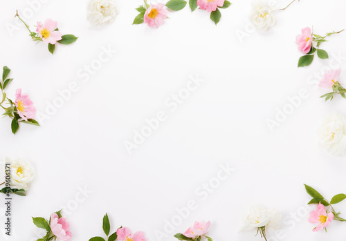Festive flower wild pink rose composition on the white background. Overhead top view, flat lay. Copy space.