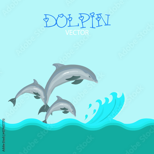 illustration of a dolphin vector