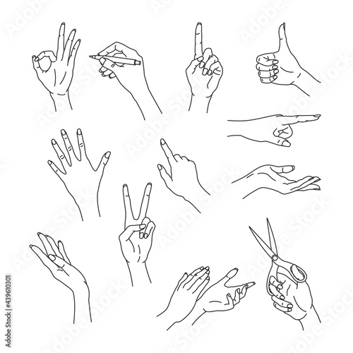 Outline woman hands. Isolated gestures set. Girl palm icons. Contour drawing of female fingers. Line arm silhouette