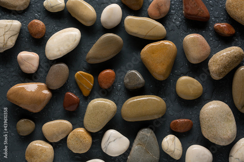 colorful sea pebbles with water drops