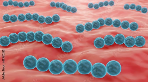 Probiotic streptococcus bacteria on mucosa, human microbiota 3d illustration photo