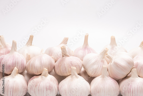 Garlic isolated on a white background.