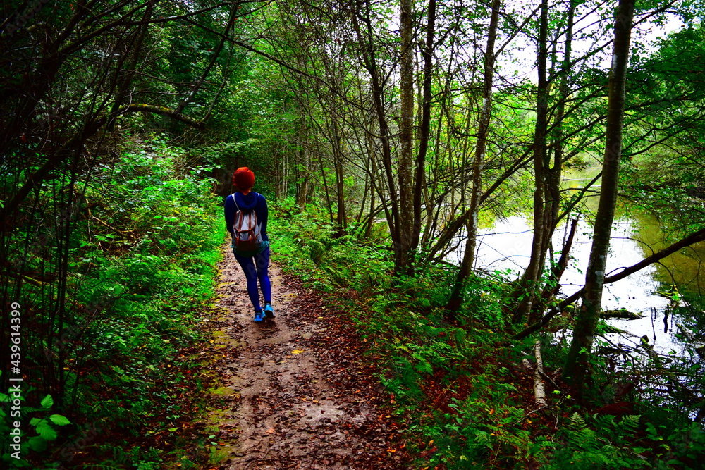 woman forest hiking sweden