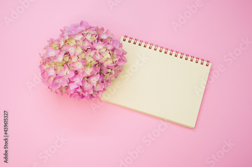 Bouquet of hydrangeas with a blank notepad isolated on a pink background with space for text © Wirestock 