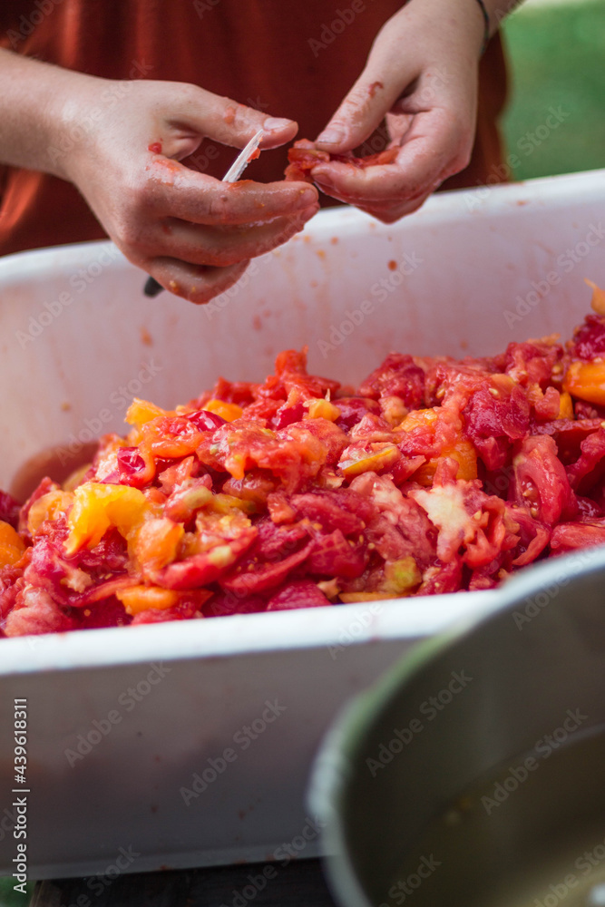 Preparando tomates Preparando tomates