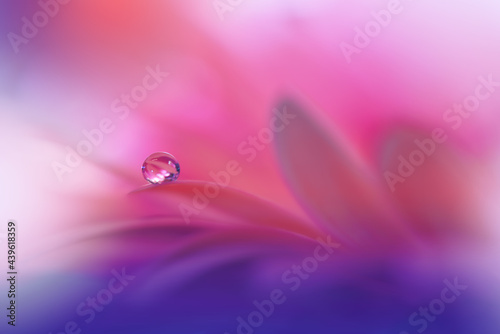 Beautiful macro shot of magic flowers.Border art design. Magic light.Extreme close up macro photography.Conceptual abstract image.Violet and Pink Background.Fantasy Art.Creative Wallpaper.Water Drop.