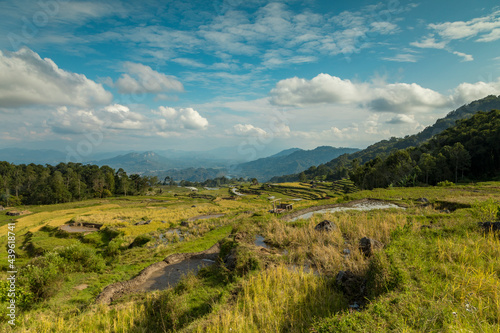 Landscape photograph of the terraced rice fields in Batutumonga area, in Tana Toraja region, near Rantepao, Sulawesi island, Indonesia