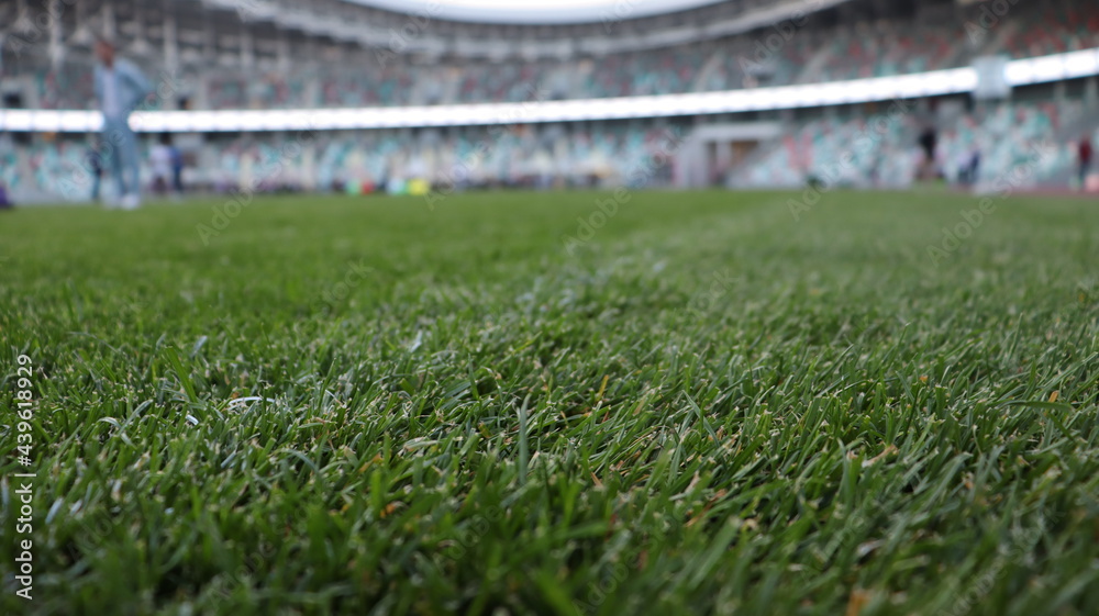 football turf on green grass view