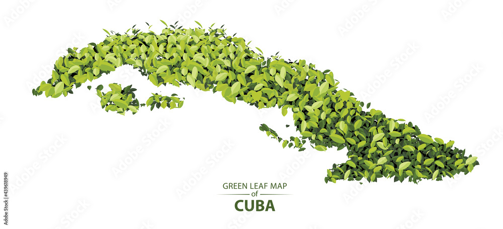 Green leaf map of Cuba vector illustration of a forest is concept