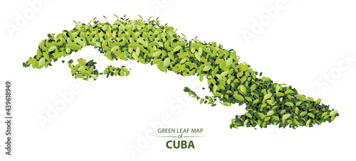 Green leaf map of Cuba vector illustration of a forest is concept