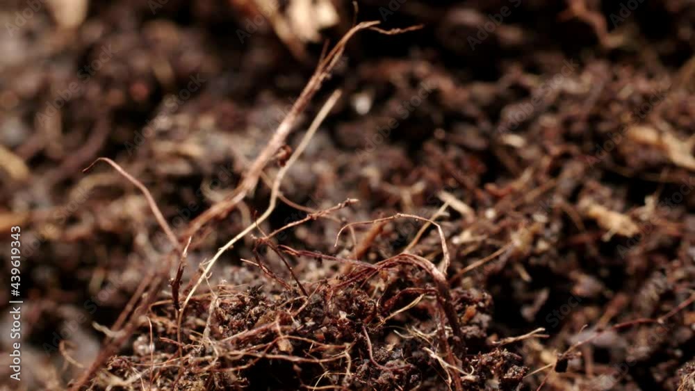 Macro shot of moving soil dirt Macro shot of moving soil dirt
