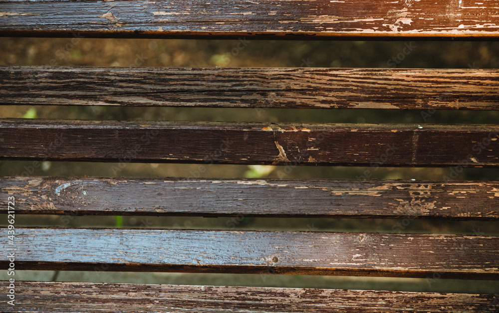 The background is made of old wooden boards covered with old paint.