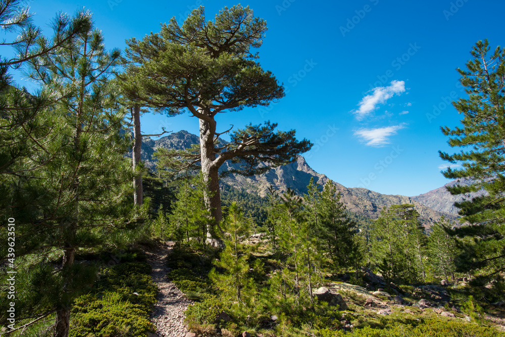 Obraz premium Wanderung am GR20 auf Korsika