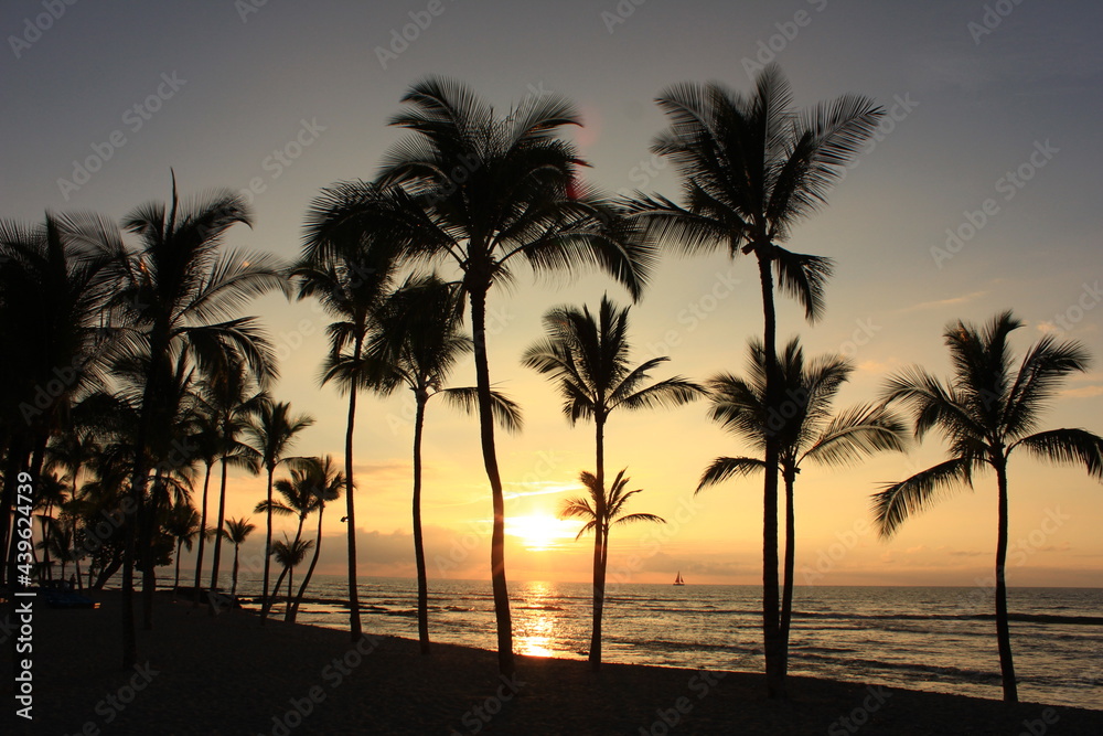 ハワイ島（ビッグアイランド）。オレンジに染まる夕暮れの空と海。ヤシの木の間に沈む夕日。