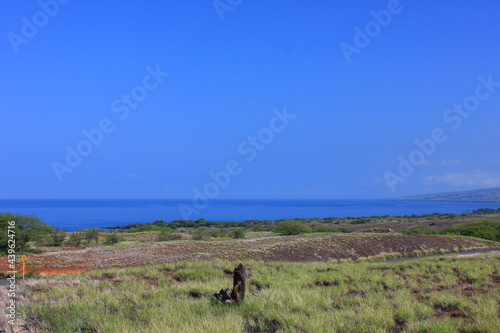  ハワイ島（ビッグアイランド）。緑の草に覆われた溶岩の大地と海に太陽の光が降り注ぐ。