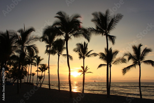 ハワイ島（ビッグアイランド）。オレンジに染まる夕暮れの空と海。ヤシの木の間に沈む夕日。