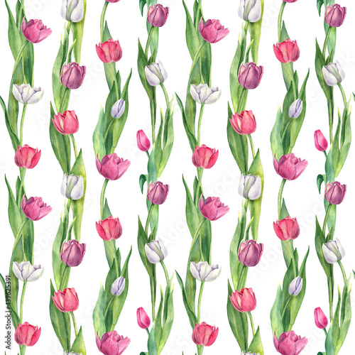 Floral seamless pattern of pink and white tulips with green leaves. Watercolor illustration on white background