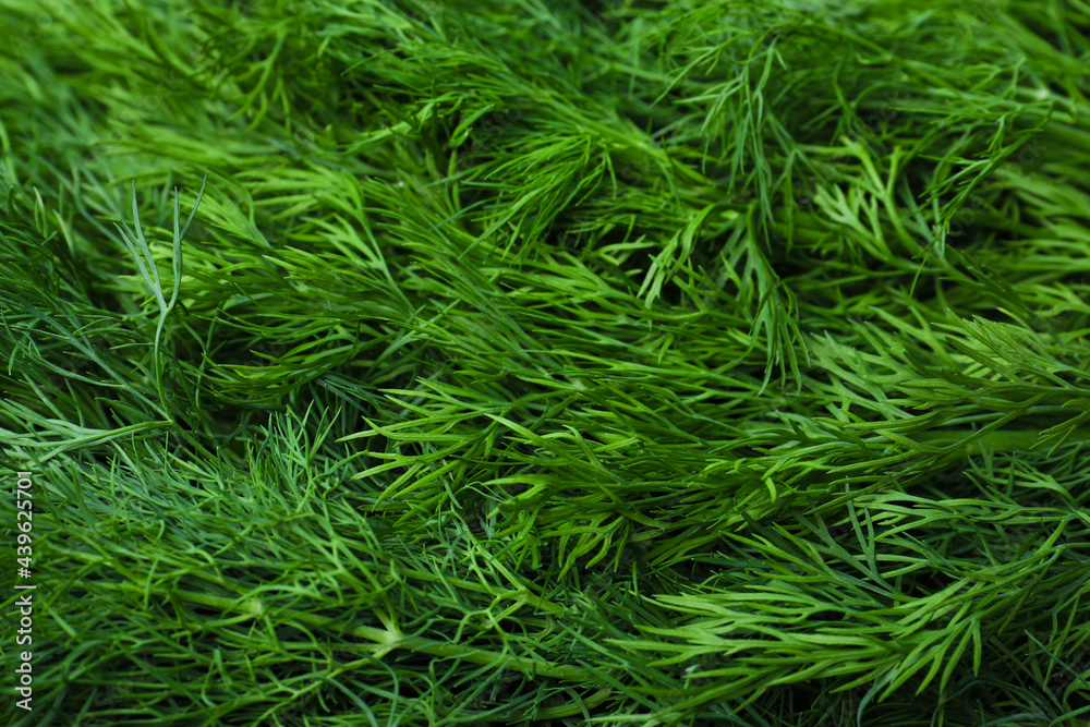 Green fresh dill as background, closeup view Green fresh dill as background, closeup view