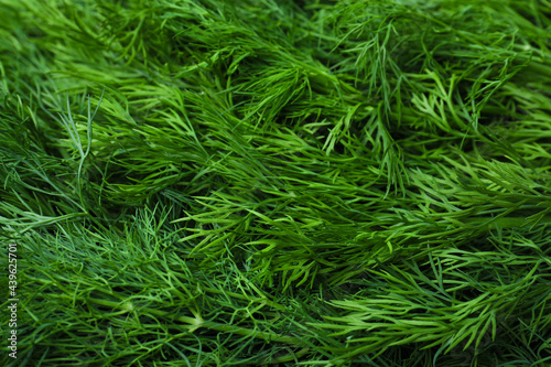 Green fresh dill as background, closeup view