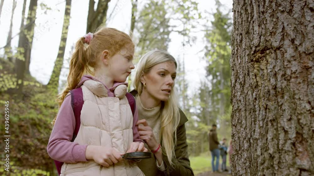 Small girl with teacher examining tree with magnifying glass in nature, learning group education concept. Small girl with teacher examining tree with magnifying glass in nature, learning group education concept.