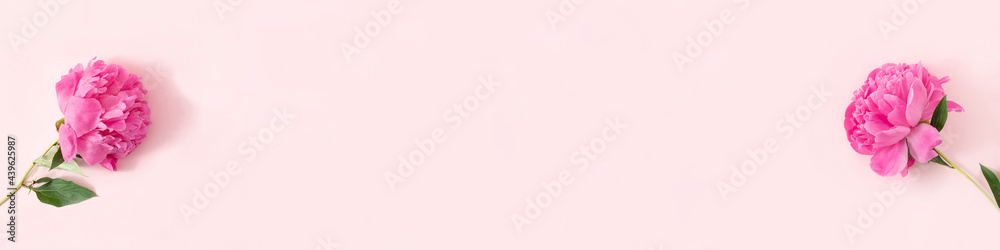 Minimal floral composition made of pink peony flowers on pastel pink background. Creative banner with copy space. Minimal spring or summer nature concept. Flat lay. Minimal floral composition made of pink peony flowers on pastel pink background. Creative banner with copy space. Minimal spring or summer nature concept. Flat lay.