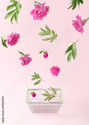 Fresh pink peony flowers, green leaves, and shopping basket against pastel pink background. Minimal nature concept. Creative floral arrangement.