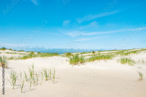 Sand dunes at the beach and helmgrass on Vlieland island in the Netherlands