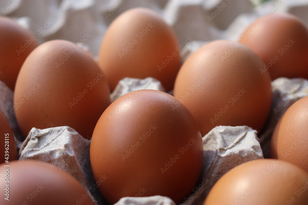 Chicken eggs in carton box.