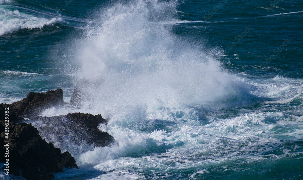 Crashing waves on the Pacific Ocean coastline Crashing waves on the Pacific Ocean coastline