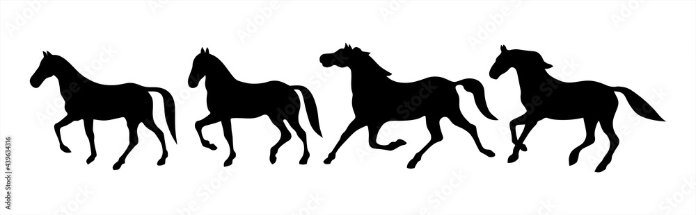 Ways of moving horses