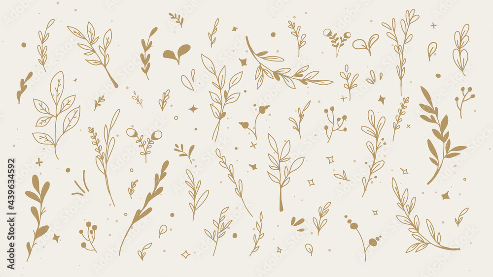 Vector set of hand drawn leaves elements for social media and web ...