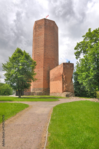 Mysia wieża na zamku w Kruszwicy photo