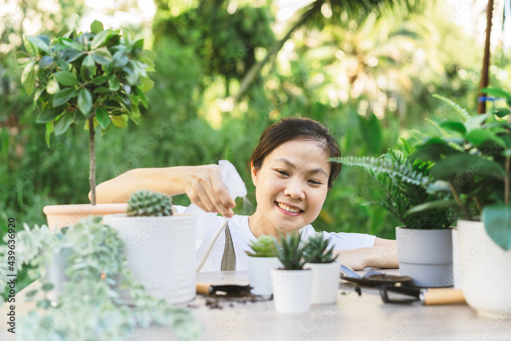Gardener,Summer happy asian woman, spraying, watering plant cacti, cactus in ceramic flower pot, water by spray bottle on wooden table, take care in home garden. Plant, gardening or houseplant indoor. Gardener,Summer happy asian woman, spraying, watering plant cacti, cactus in ceramic flower pot, water by spray bottle on wooden table, take care in home garden. Plant, gardening or houseplant indoor.