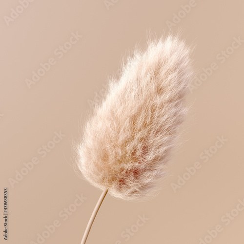 Abstract fluffy flower beige pastel color boho background 3d rendering. Fur design element isolated