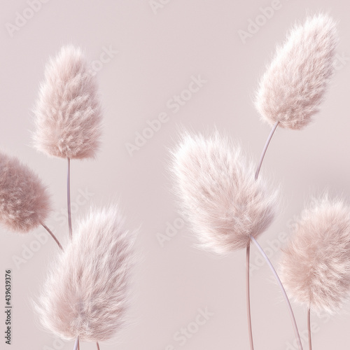 Floral fluffy boho pastel beige color background, beautiful botanic calm inspiration 3d rendering