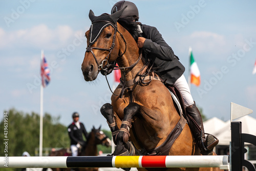 Obraz na plátně Horse Jumping, Equestrian Sports, Show Jumping themed photo.