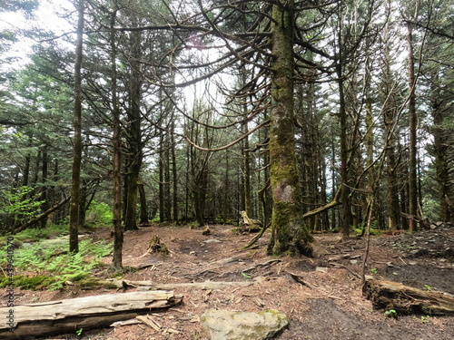 landscape with sky clingmans dome tennessee knoxville gatlinburg